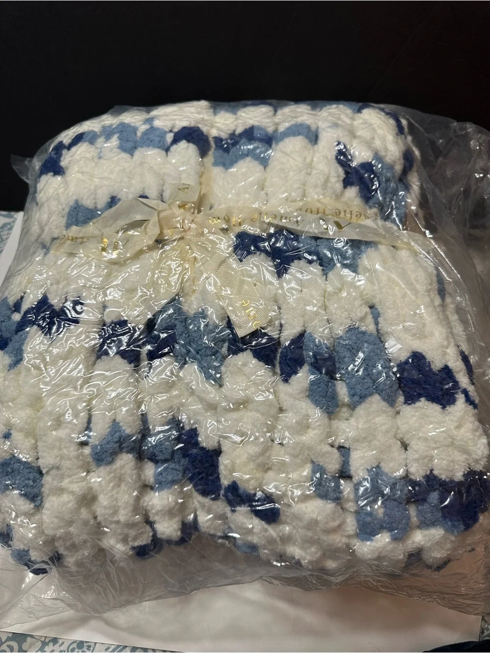 Amelie Hone  White and Blue Chunky Knit Throw Blanket